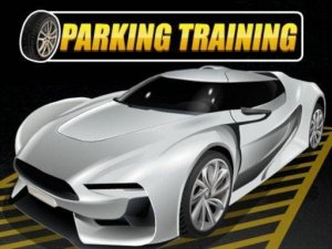 Precision Park: Vehicle Maneuvering Trainer