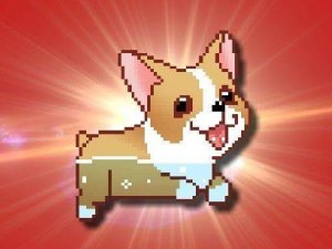 Dog Picture Puzzle Assembly