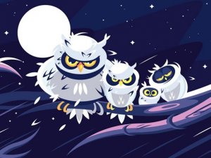 Wild Birds Match 3 Online Puzzle Game