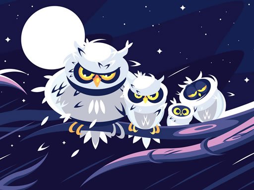Feathered Friends Puzzle Match