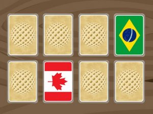 World Flags Memory Puzzle Game