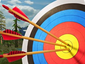 Archery Clash Master Blast 3D Online Arcade Game