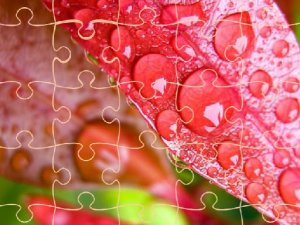 Jigsaw Puzzles Online Puzzle Game
