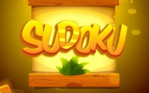 Sudoku Levels: Logic Grid Puzzle